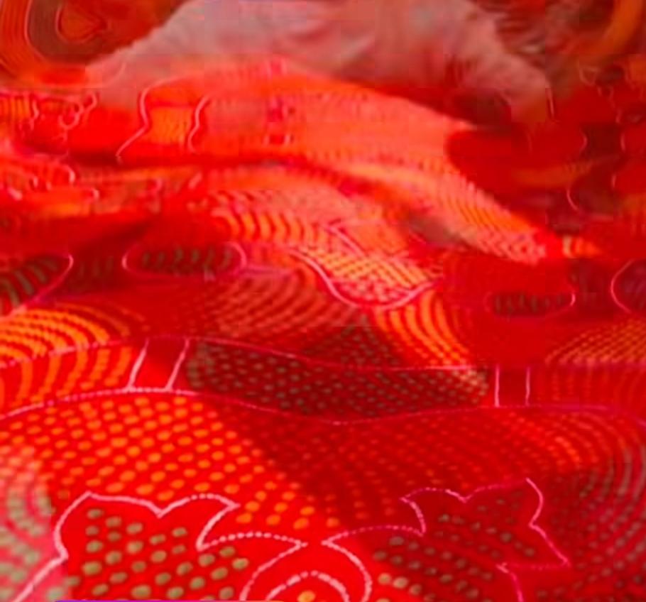 Premium Heavyweight Embossed Red Floral Mink Blanket