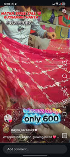 Red Chiffon Saree with Intricate Gold Jaal Embroidery & Scalloped Border
