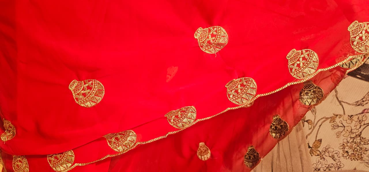 Premium Red Georgette Saree with Golden Potli Motif Work | Designer Party Wear Saree